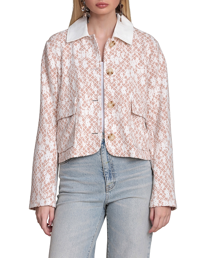 Bagatelle Mixed Collar Cropped Jacket