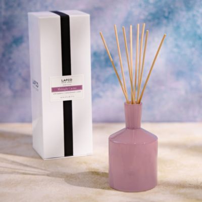 Midnight Cactus Classic Reed Diffuser, 6 oz. 