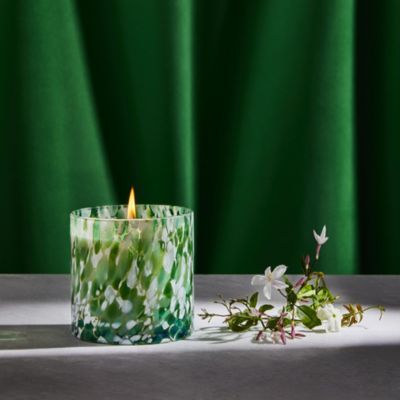 Star Jasmine Absolute Signature Candle, 15.5 oz.