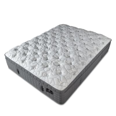Modern Luxury Arbor Euro Top Plush Mattress - Exclusive