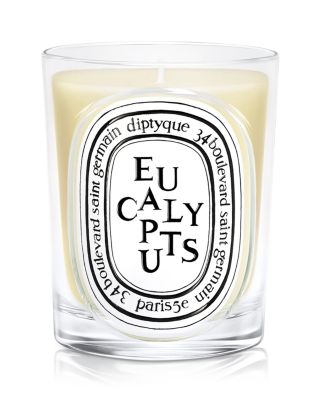 Eucalyptus Classic Candle 6.7 oz.