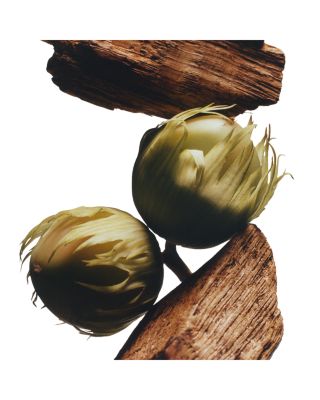 English Oak & Hazelnut Body & Hand Wash 8.5 oz.