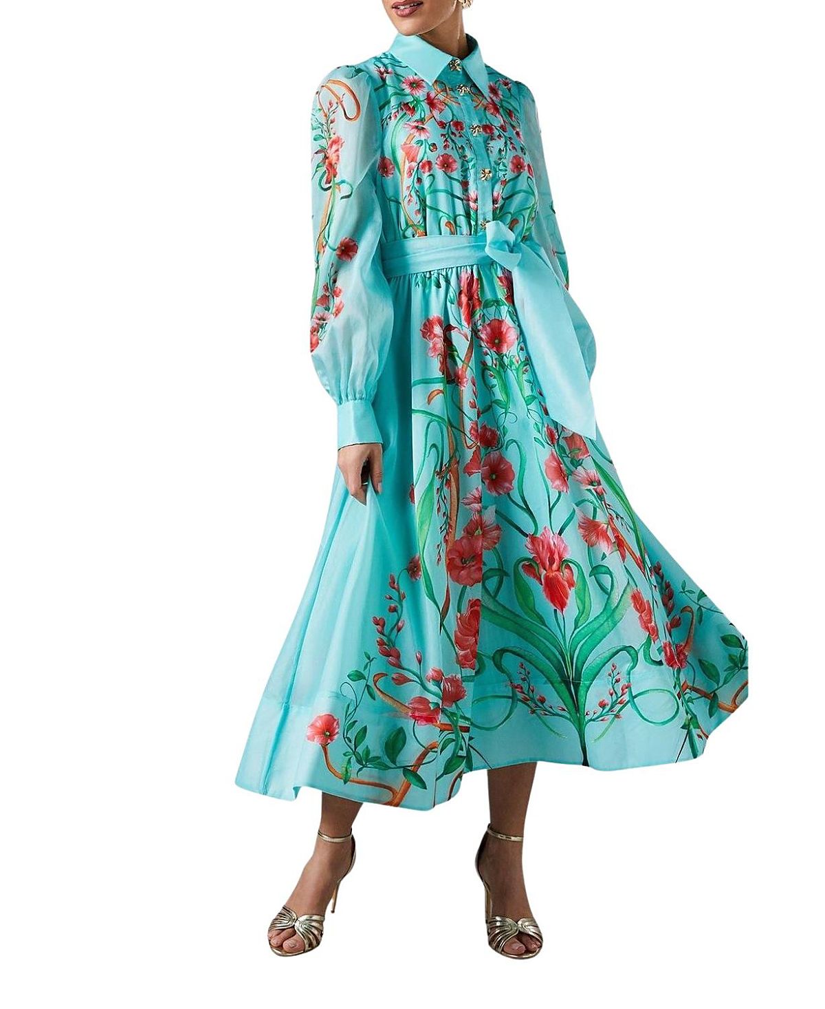 Coast Border Print Organza Shirt Dress