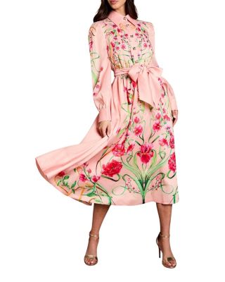 Coast Border Print Organza Shirt Dress