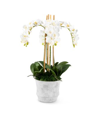  Celeste RealTouch Orchid Arrangement