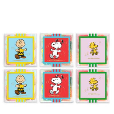 Peanuts Summer Assorted 6 Piece Cube Kit