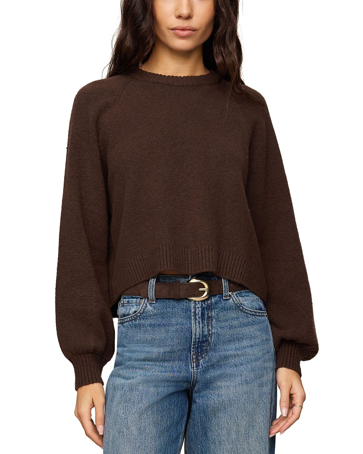 Z Supply Coming Up Crewneck Sweater