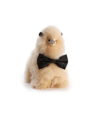 Paco Stuffed Animal, Ages 4+ Years