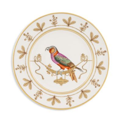 Perroquet Nestor Voliere Charger Plate