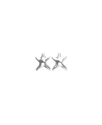 Small Silver tone Star Earrings