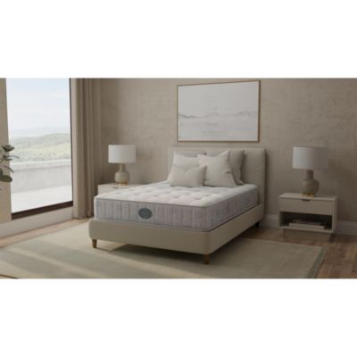 Authenticity Verity Plush Tight Top Mattress - Exclusive