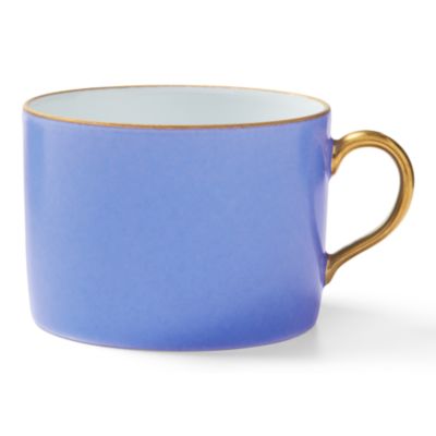 Anna's Palette Teacup