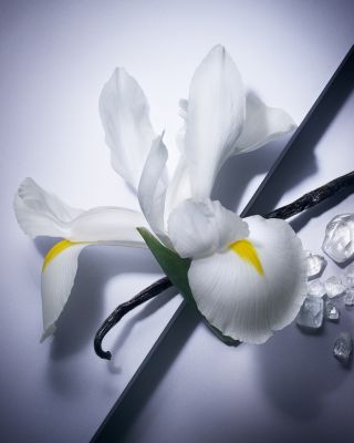 La vie est belle Eau de Parfum 3.4 oz.