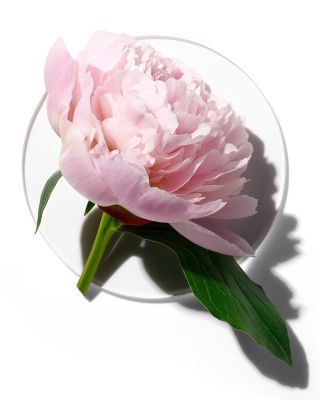 My Happy Peony Picnic Eau de Parfum 0.5 oz.