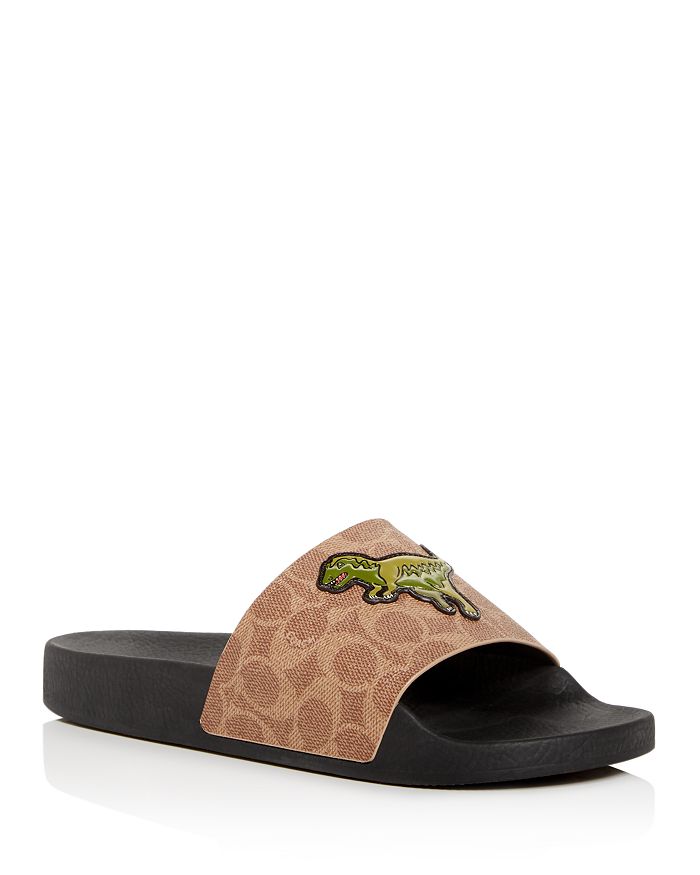 Rexy coach slides 2025