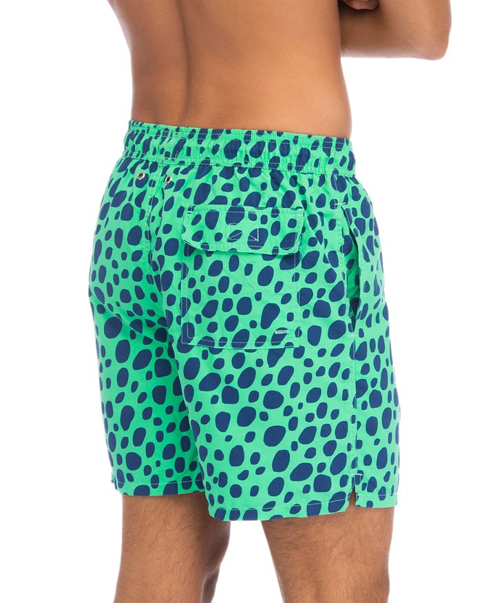 tom and teddy swim trunks