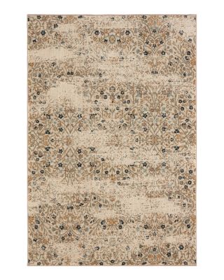 Karastan - Touchstone Eme Area Rug Collection