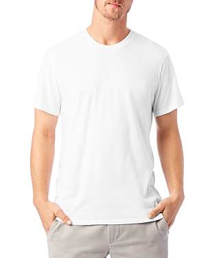 Alternative Basic Crewneck Tee In Earth White