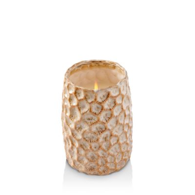Anthropologie Home - Honeycomb Tonka & Tobacco Leaf Large Candle