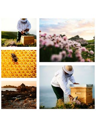 Abeille Royale Anti-Aging Eye Cream 0.5 oz.