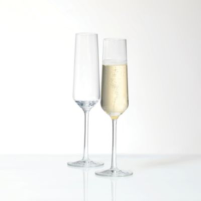 Tritan Pure Champagne Flute, Set of 2