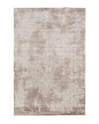 Amer Rugs Cambridge Cam-11 Area Rug, 5'3 x 7'6