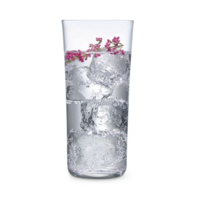 Savage Highball Glass, Set of 4