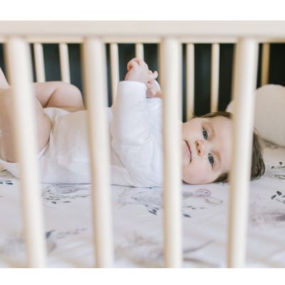 Studio Cottontail Jersey Crib Bedding Collection