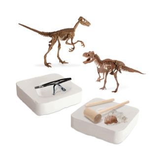 fao schwarz dinosaur excavation kit