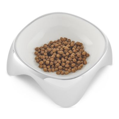 Pet Bowl, Medium