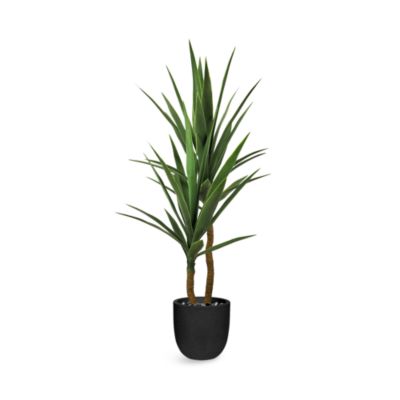 LE PRESENT - Green Yucca Faux Plant Arrangement, 43.5"H