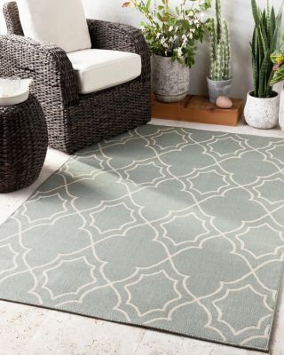 Alfresco ALF A Area Rug Collection