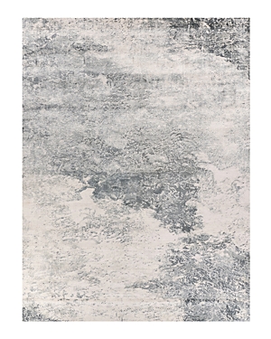 Exquisite Rugs Cassina Er3914 Area Rug, 8' X 10' In Onyx/multi