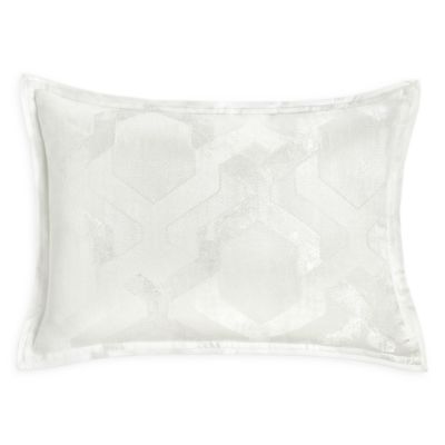 hudson home decorative pillows