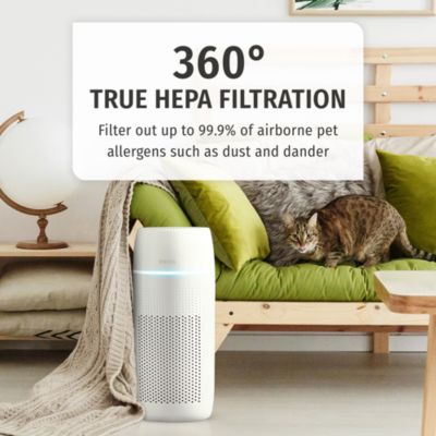 TotalClean PetPlus 5-in-1 Tower Air Purifier