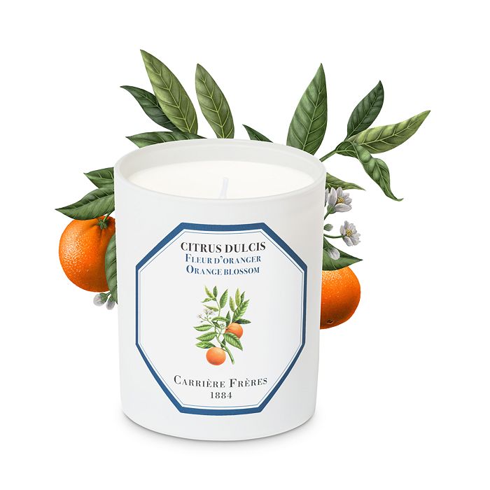 Carriere Freres - Citrus Dulcis Orange Blossom Candle, 6.5 oz.