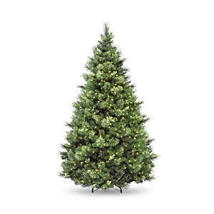 National Tree Company 9' Carolina Pine Tree With 900 Clear Lights In Green