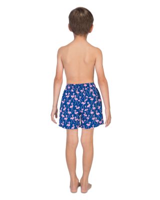 Boys&#39; Flamingo Swim Trunks - Little Kid, Big Kid