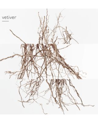 Concentr&amp;eacute; de pamplemousse rose Eau de Toilette Spray 