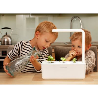 Smart Garden 3 & Plant Pods Kit