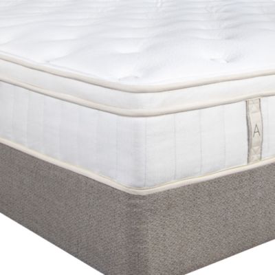 Beth Plush Euro Top Mattress - Exclusive