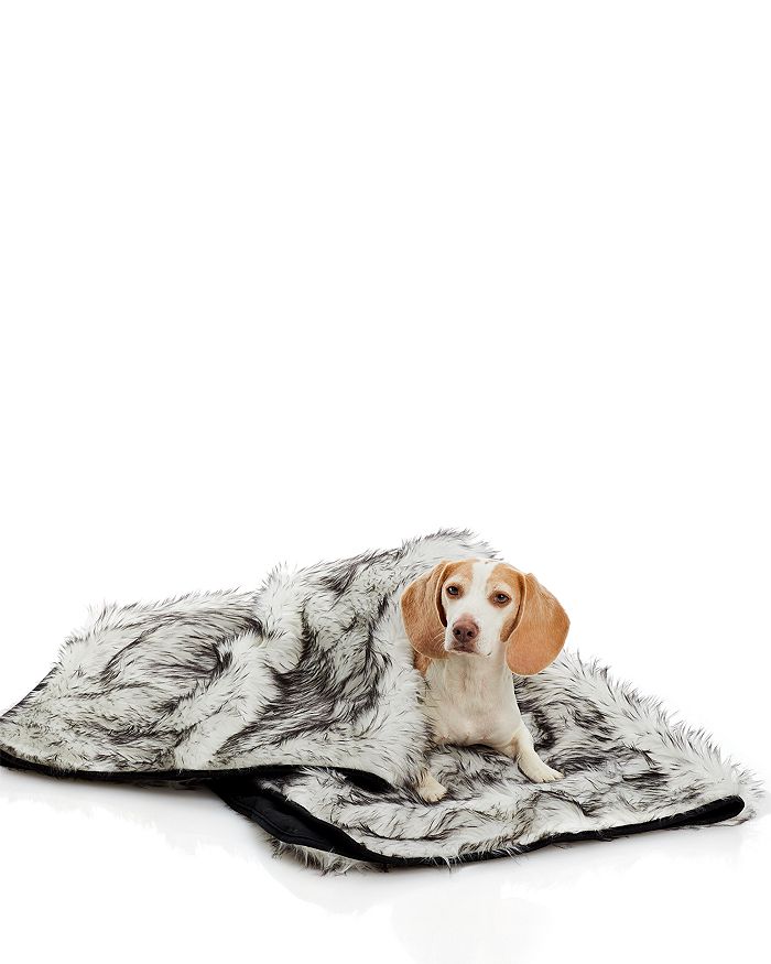 Bloomingdales sales dog accessories