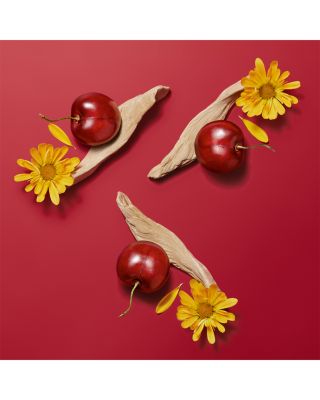 Herm&egrave;sistible Infused Lip Care Oil 