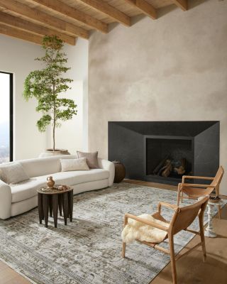 Bonney BNY-02 Area Rug, 2' x 3'