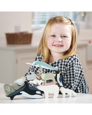 Polar Animals - Ages 3+  