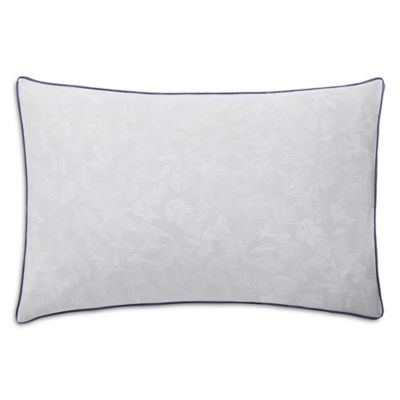 Esquisse Standard Sham