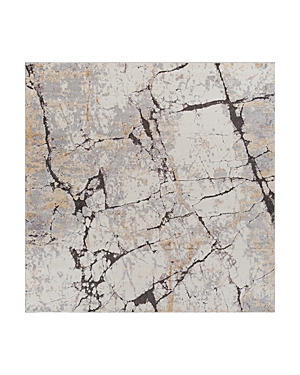 Shop Surya Tuscany Tus-2314 Square Area Rug, 7'10 X 7'10 In Gray