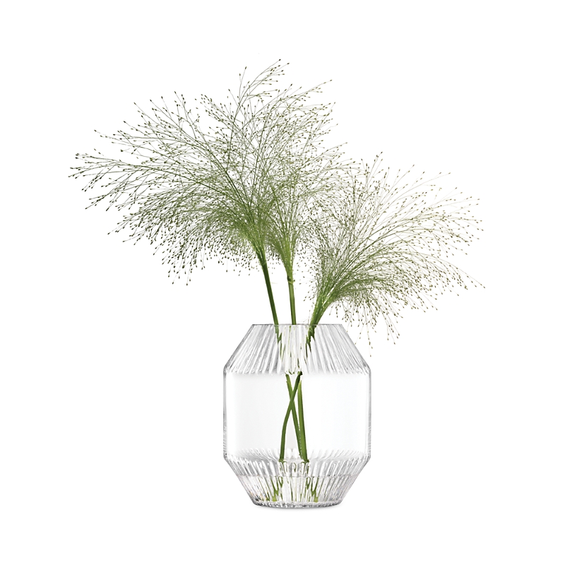 Lsa Rotunda Medium Glass Vase - Clear In Clear