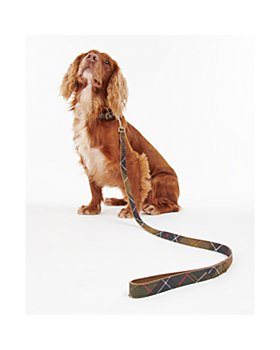 Fancy Dog Collars for Fashionable Pups - Vetstreet