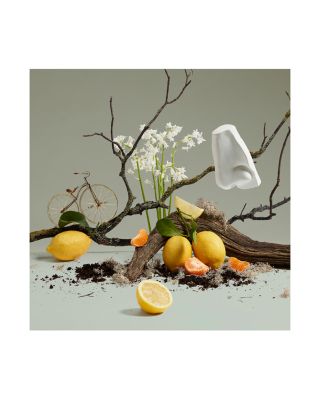 Penhaligon's Quercus Eau de Cologne | Bloomingdale's Beauty